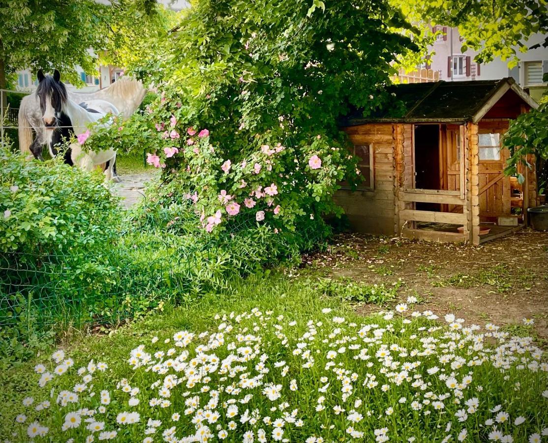 Appartement Rohrachhof à Treuchtlingen Extérieur photo